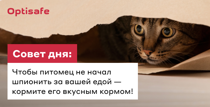 Совет дня